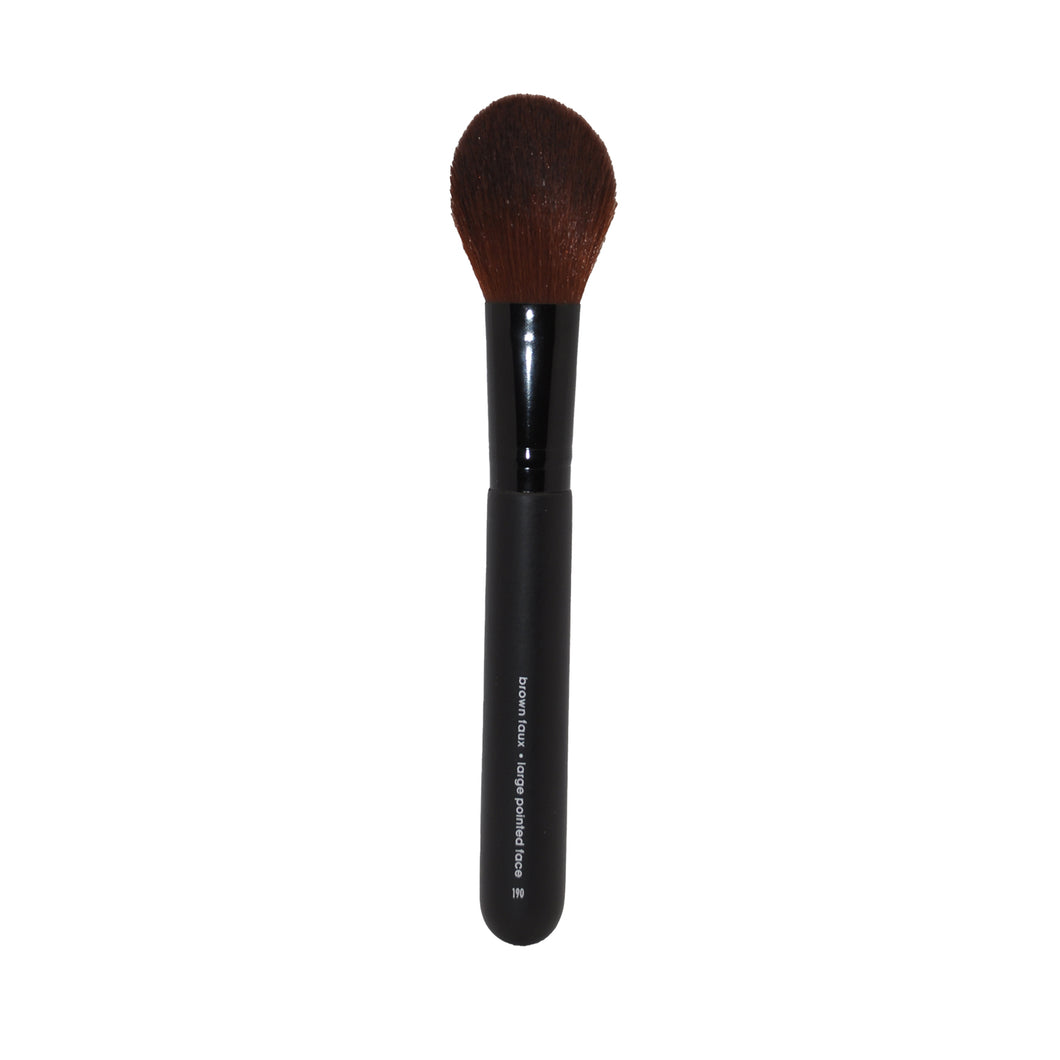 Large Pointed Face Brush